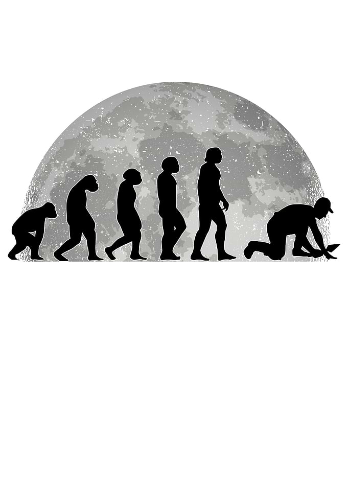 Tiler Evolution Moon Paver