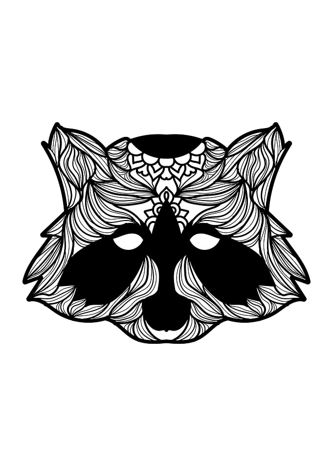 Raccoon