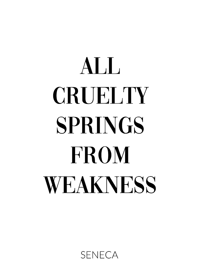 Seneca Quote