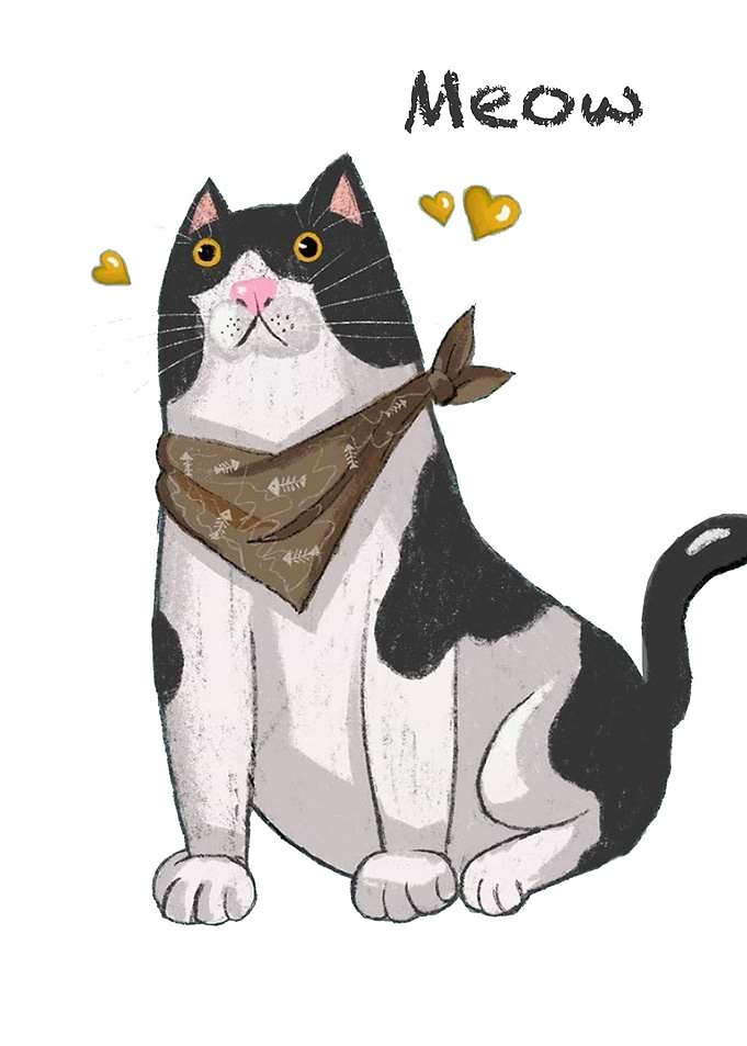 Cute Cat