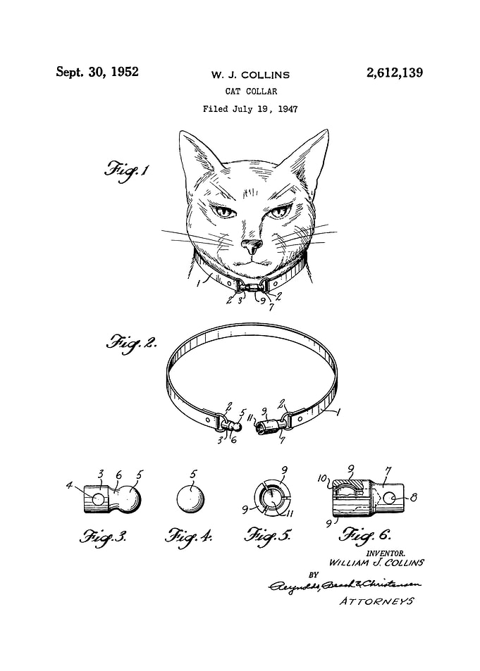 Cat Collar Patent