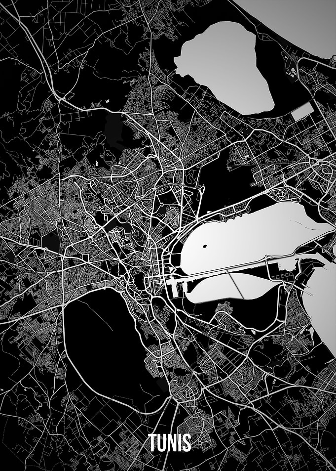 Tunis dark map