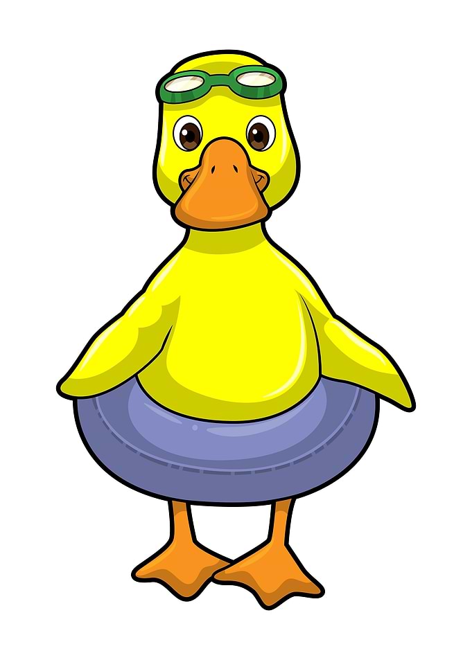 Duck Swimming Swim ring