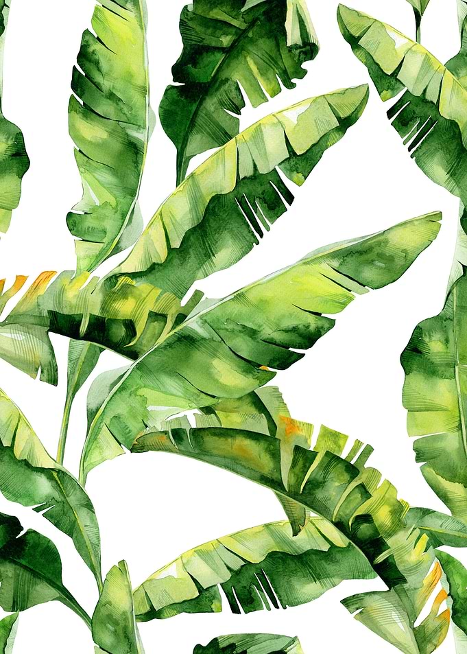 Watercolor Tropical Pat 10