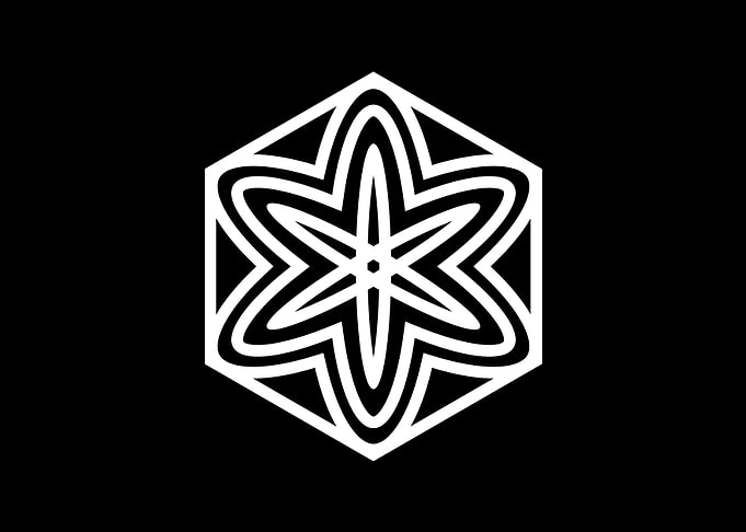 Black and White Geometric