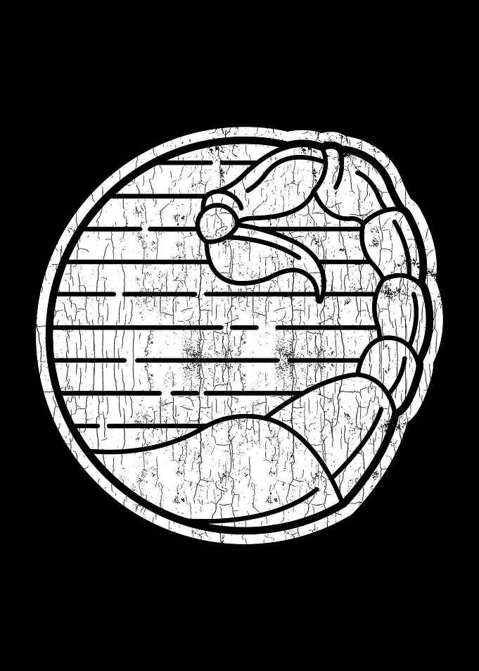 Scorpio Horoscope Apparel