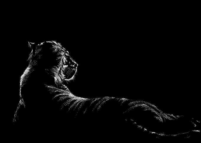 Tigers Rest