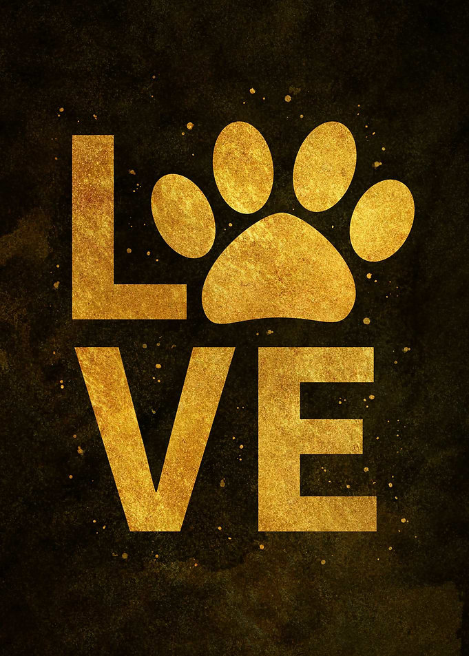 Dog Love