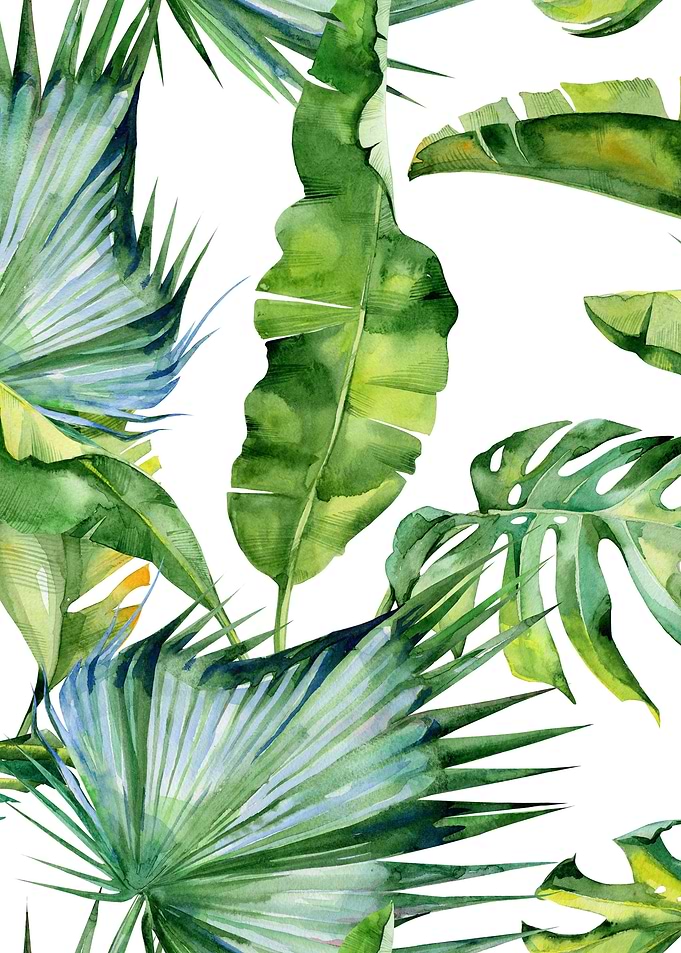 Watercolor Tropical Pat 08