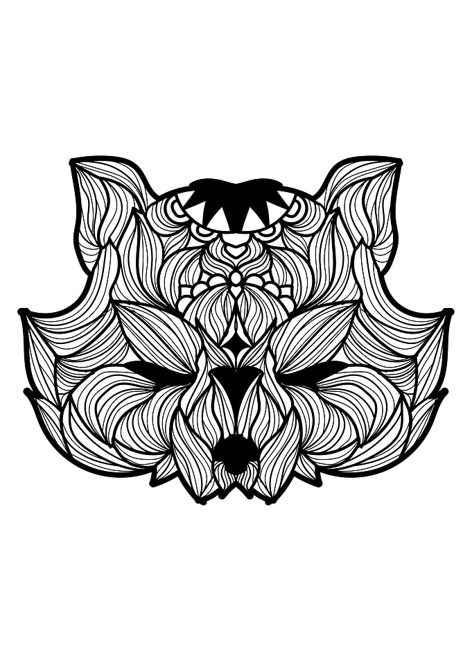 Raccoon