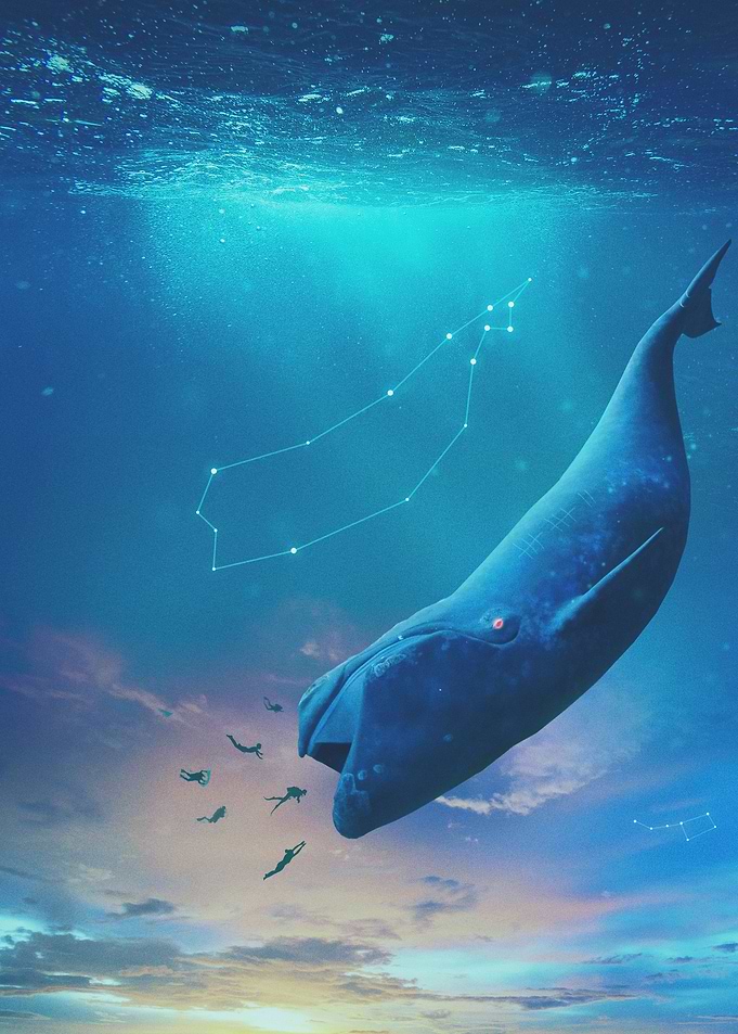 The Blue Whale