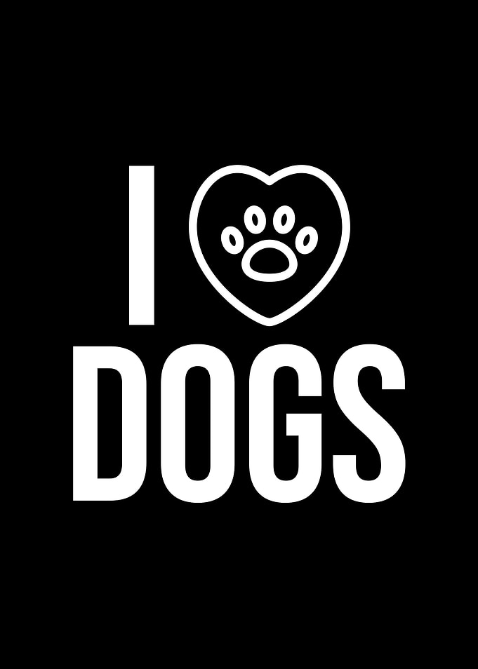 I love Dogs