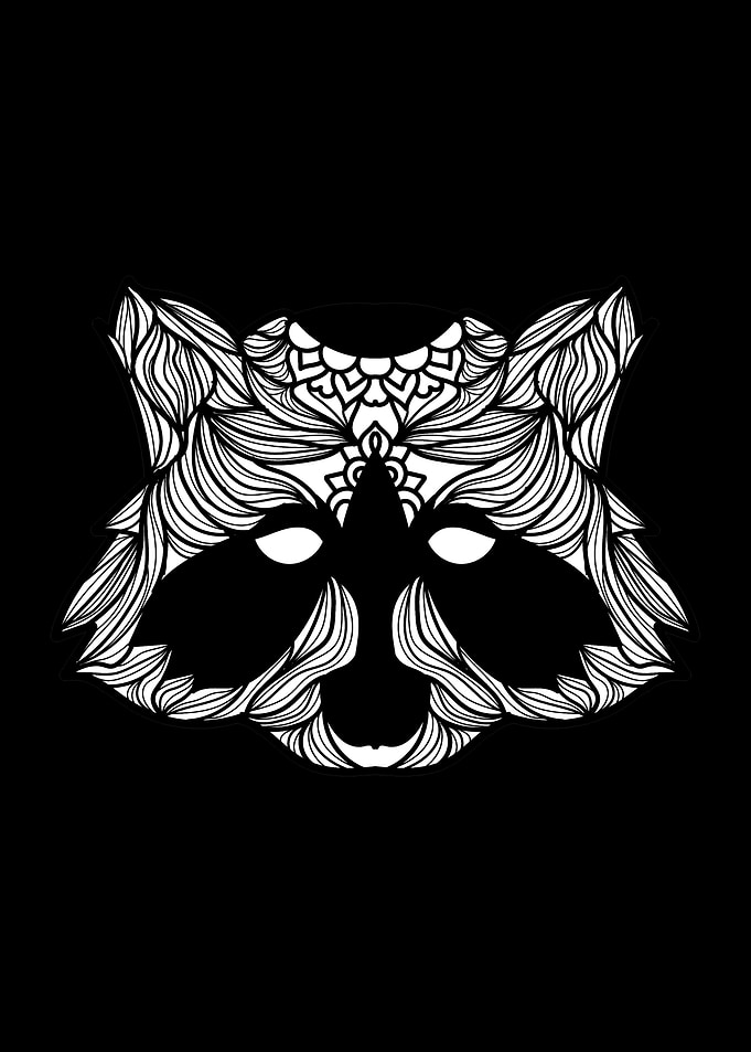 Raccoon