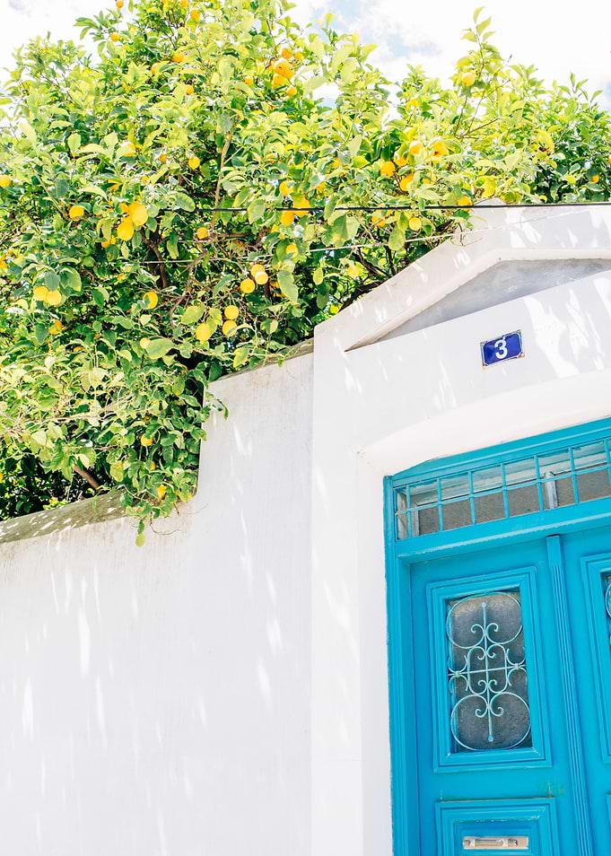 White Blue and Lemons