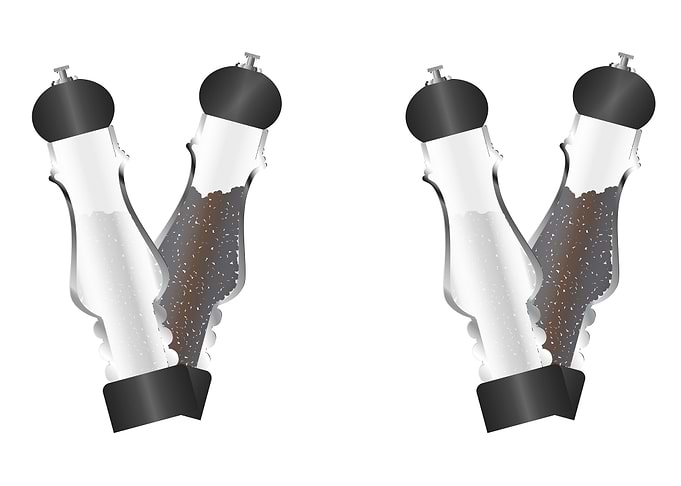 Salt And Pepper shakers