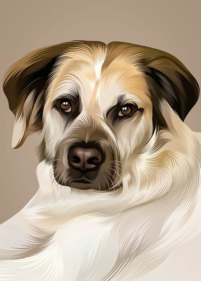 White Yellow Dog