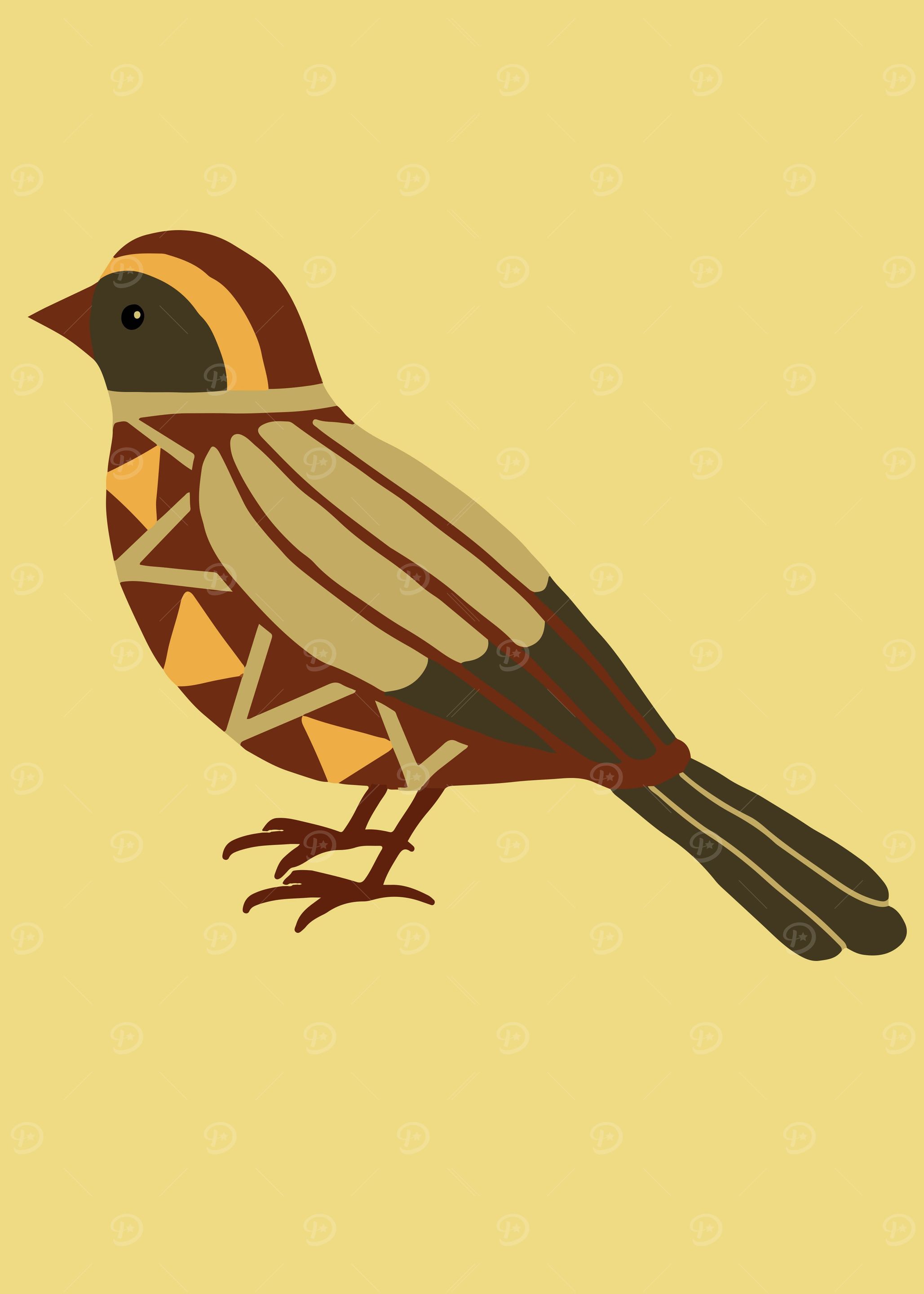 Birds in geometric