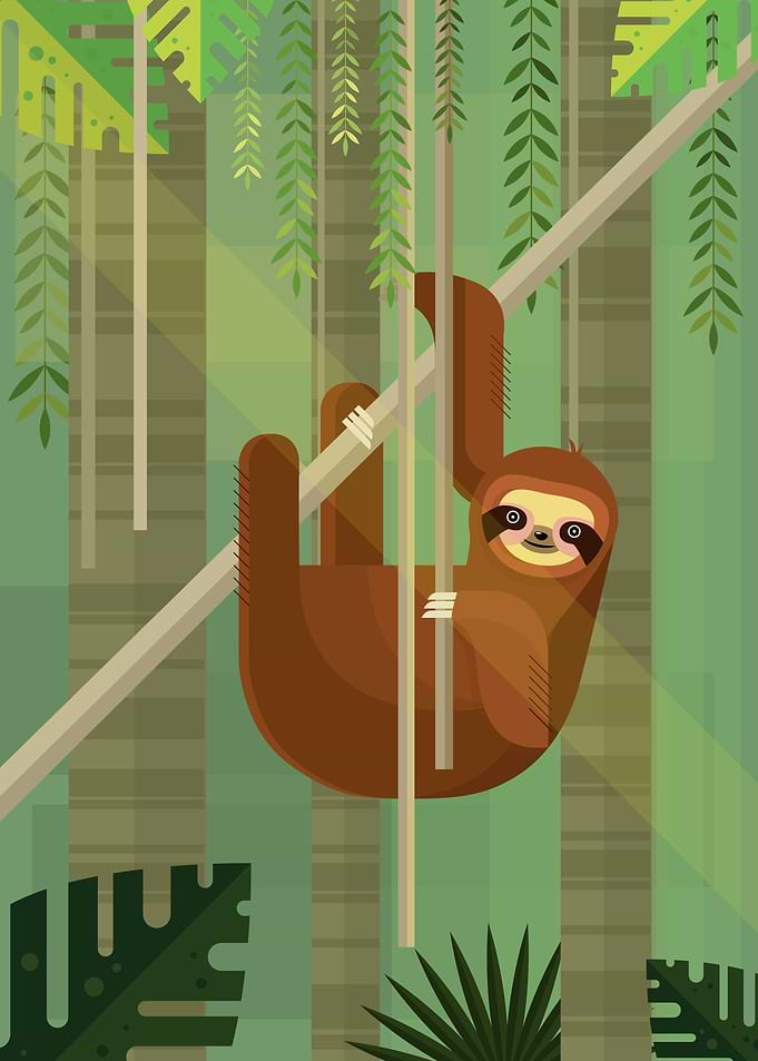 Lazy Sloth