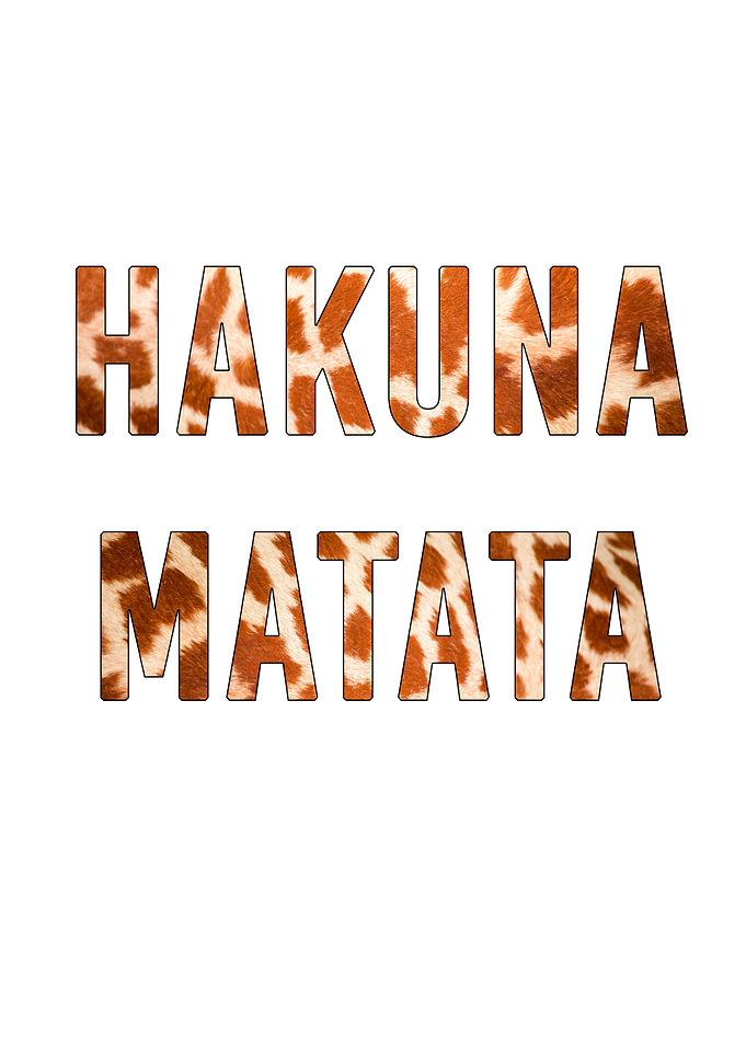 Hakuna matata poster