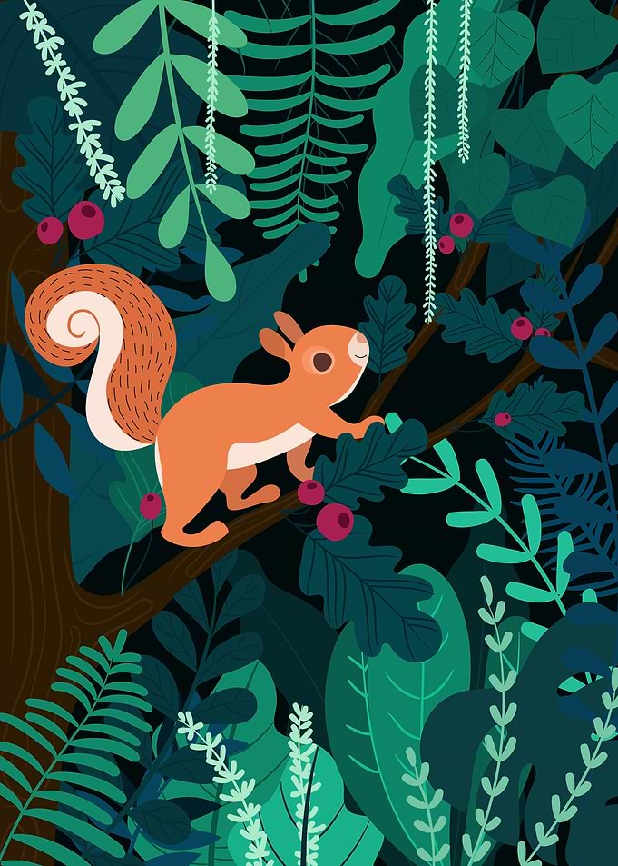 Squirrel