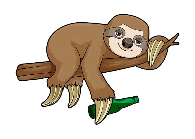 Sloth Beer Beer bottle