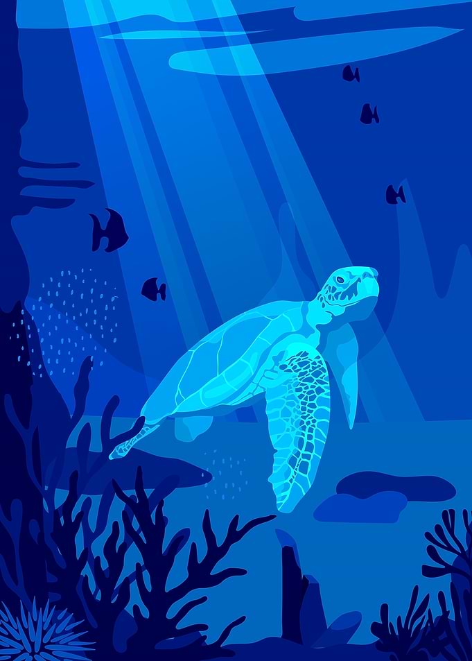 Turtle