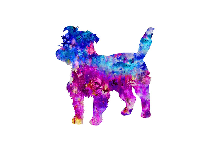 Jack Russell