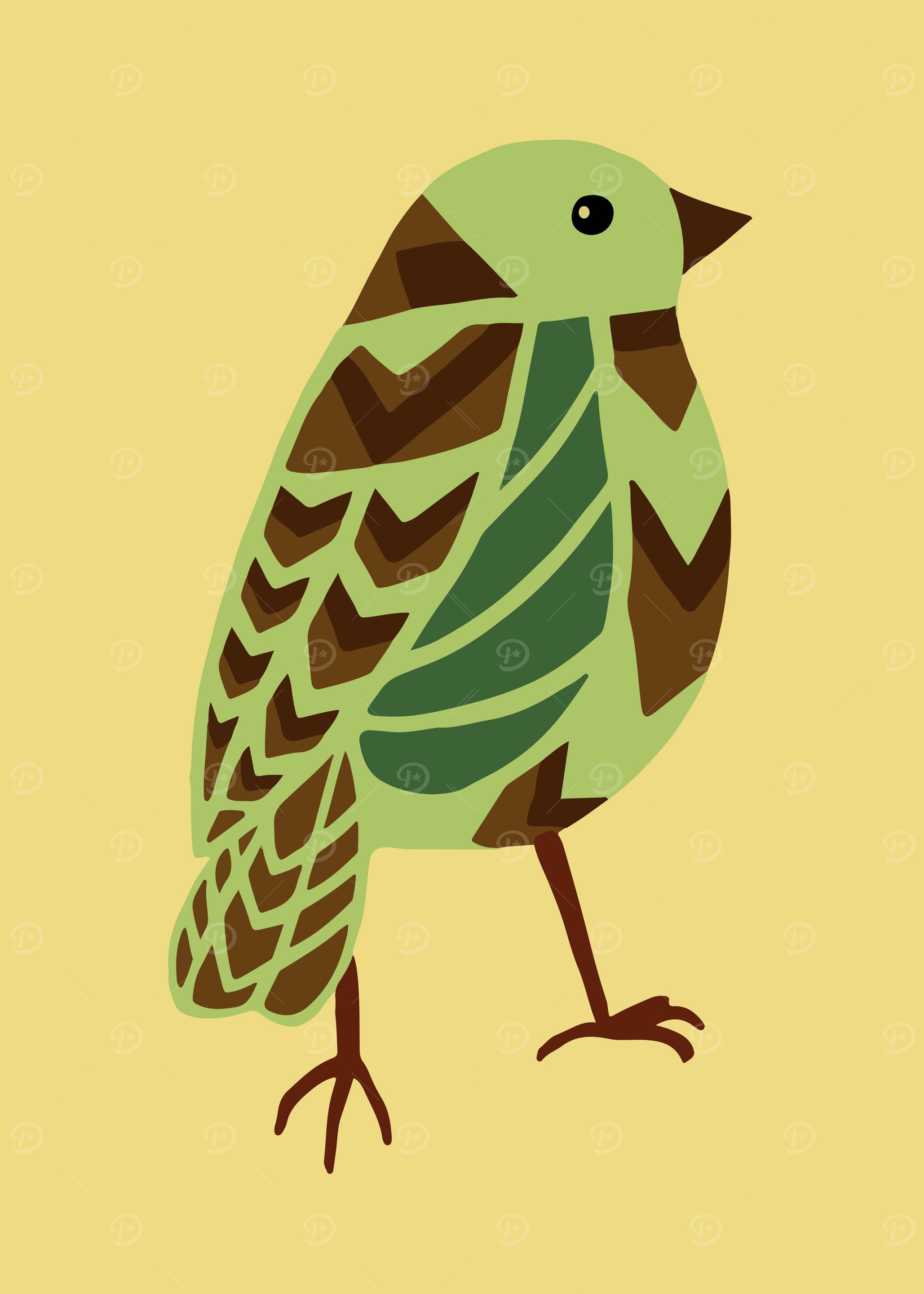 Birds in geometric