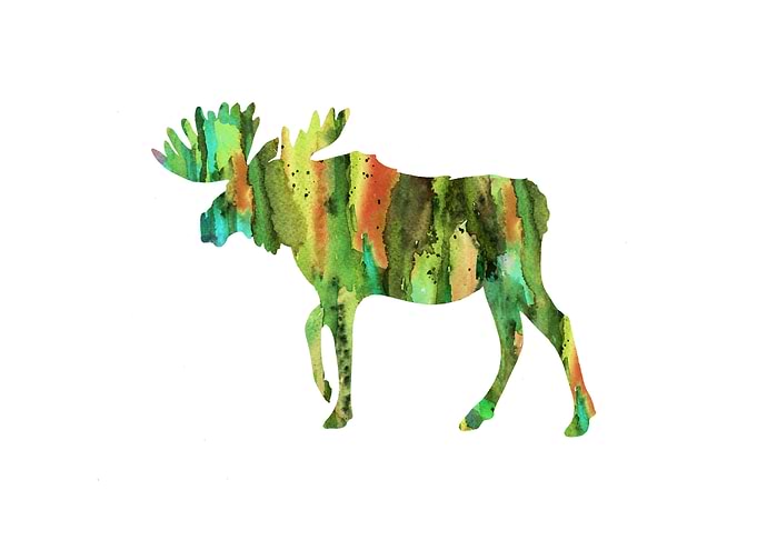 Moose