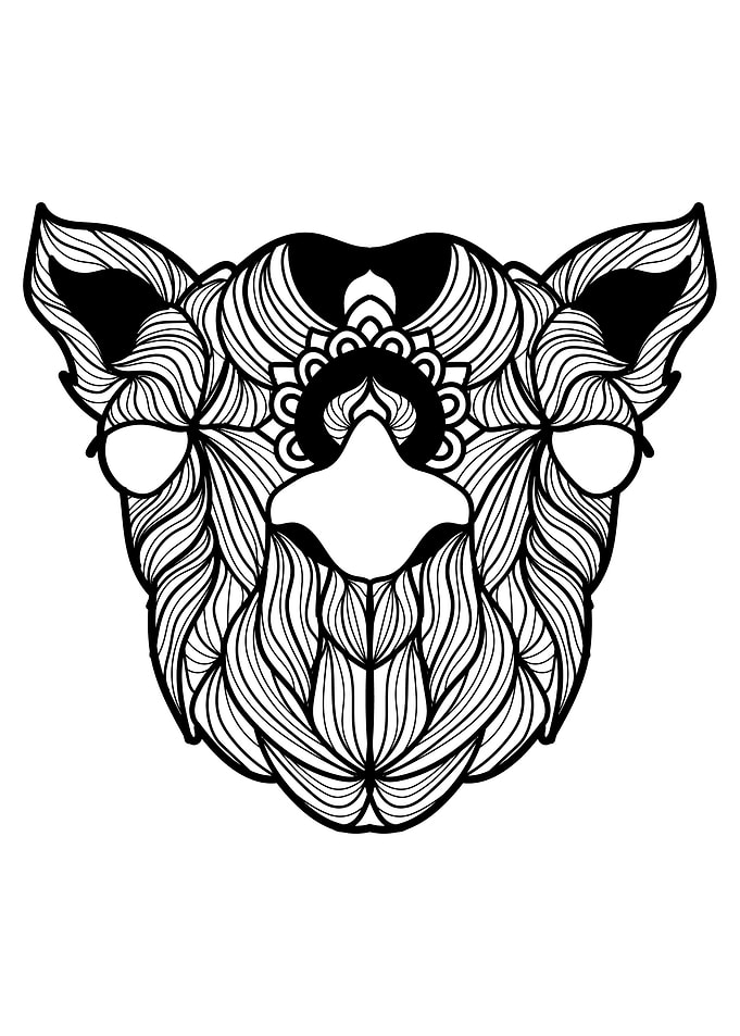 Camel Mandala