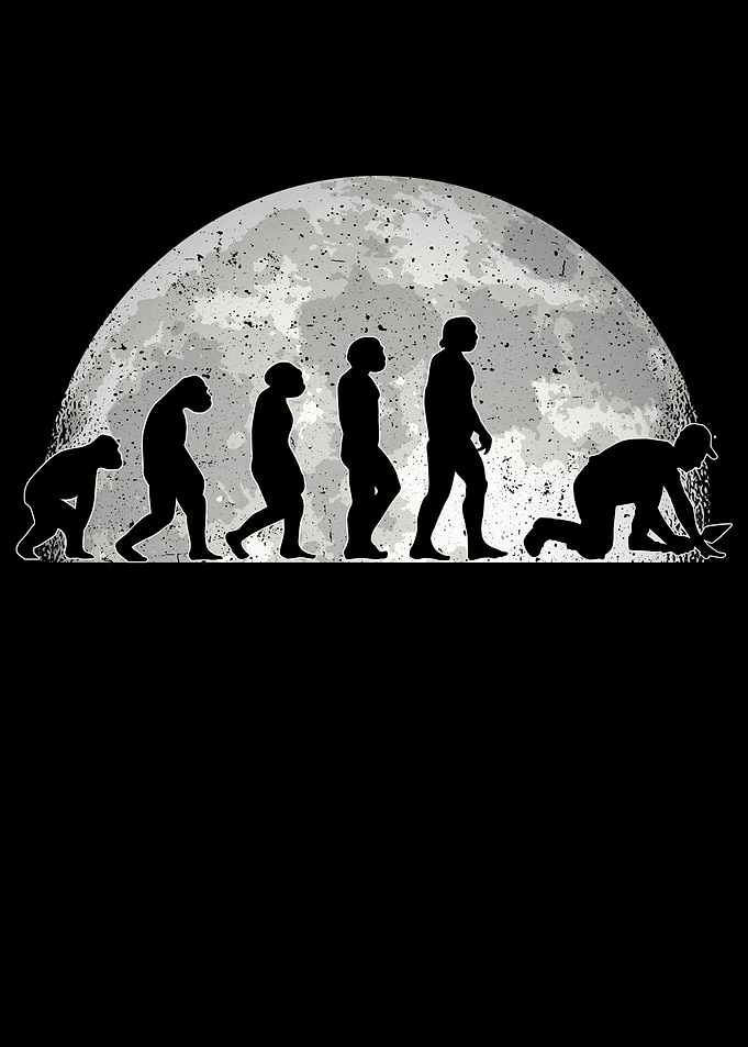 Tiler Evolution Moon Paver