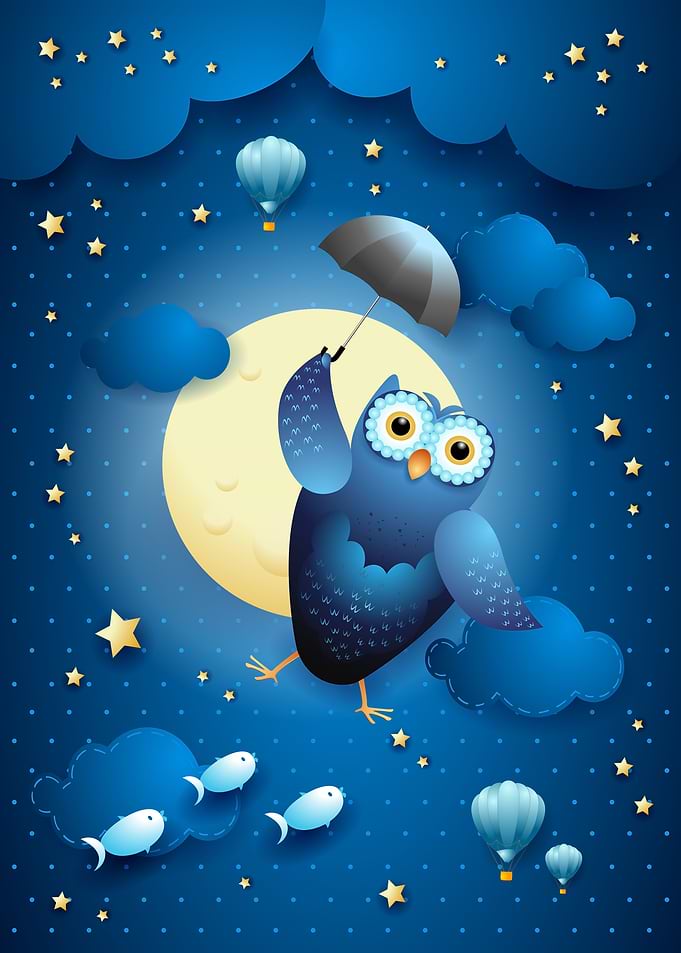 Flying Owl and Moon