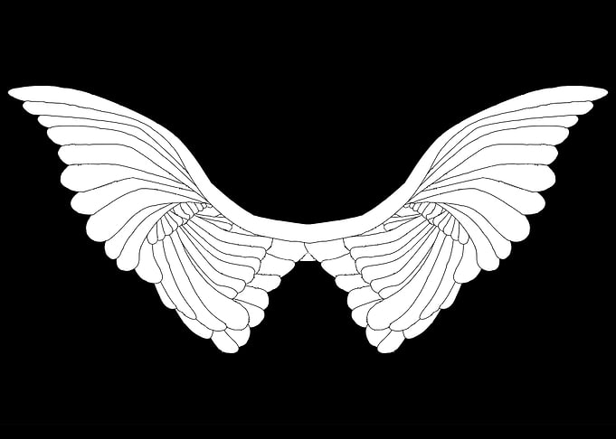 Angel WIngs