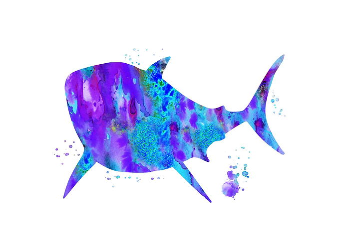 Shark