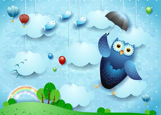 Flying Owl on Landscape