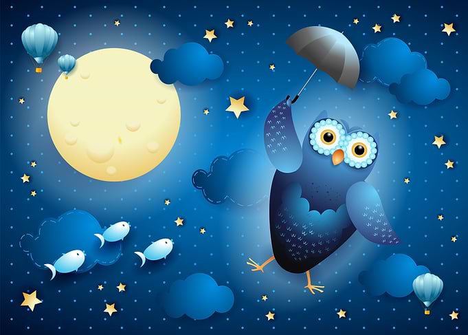 Flying Owl in Sky