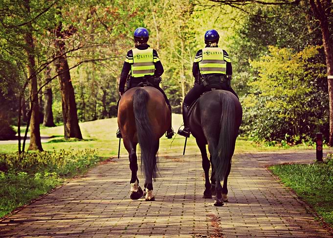 Mounted Police Force