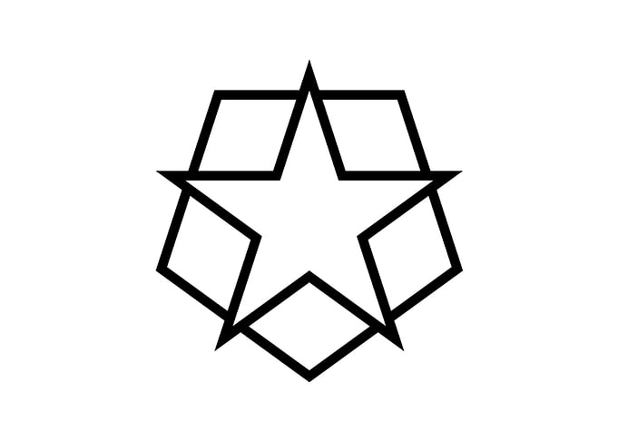 Black and White Geometric