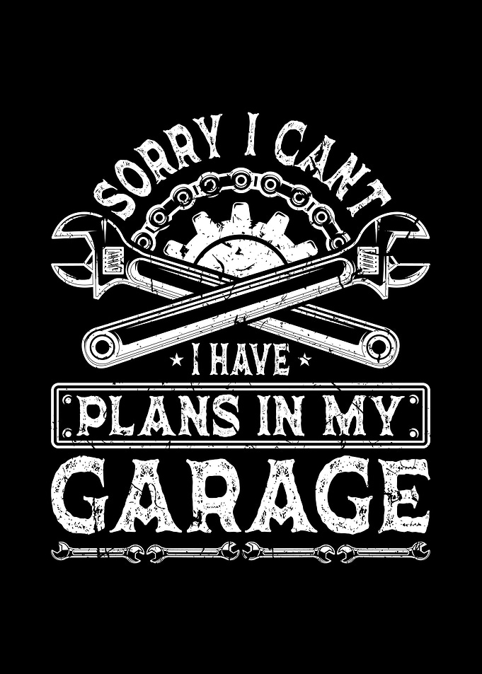 Plany in my Garage Car