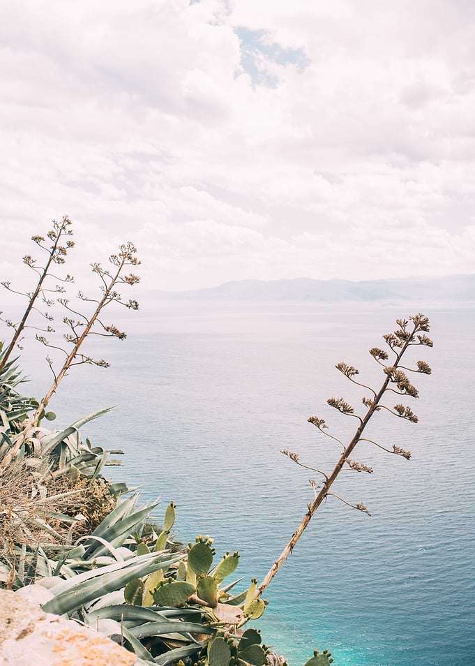 Plants over Mediterranean