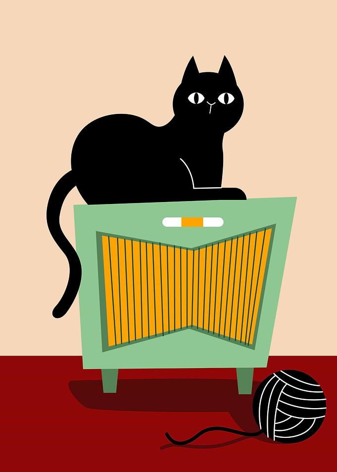 Cat and The Ampli Power