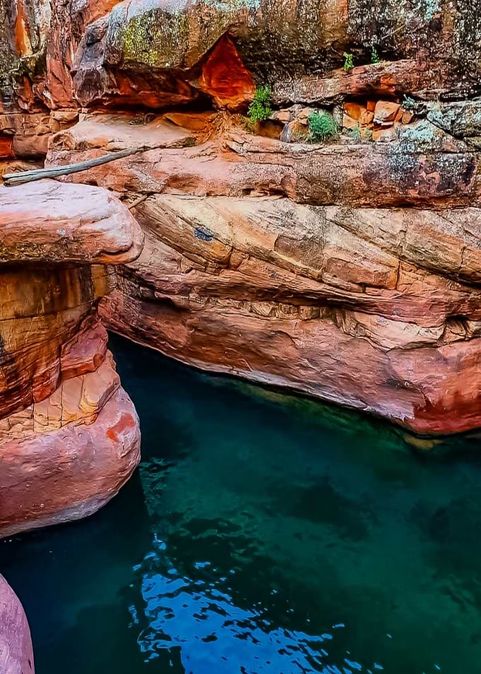 Desert Oasis