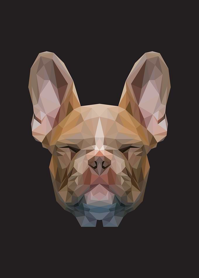 The Doggy Lowpoly