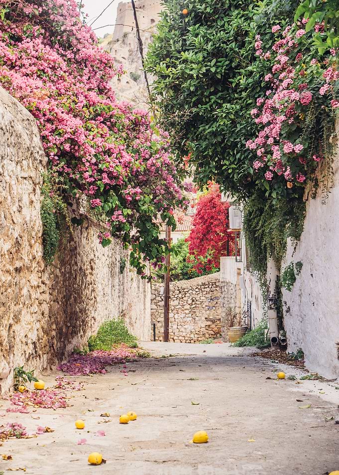 Lemons in Greek Alley