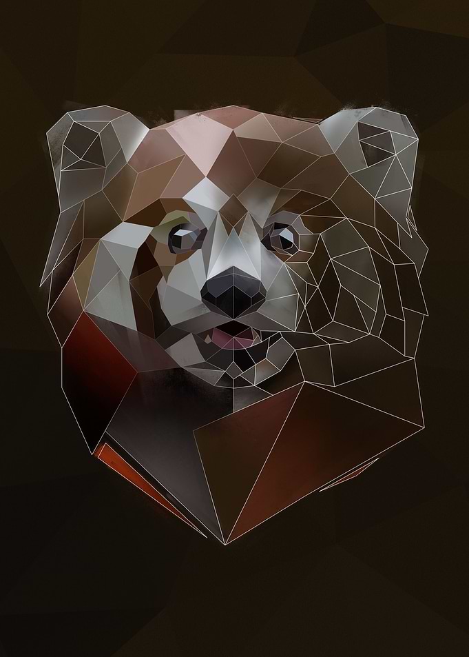 Red Panda sketch