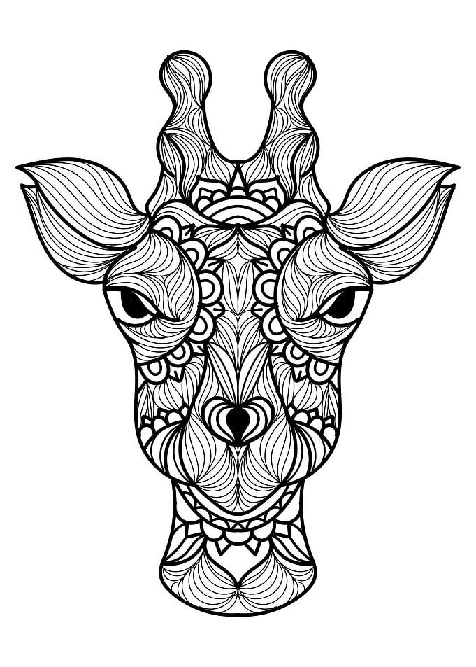 Giraffe