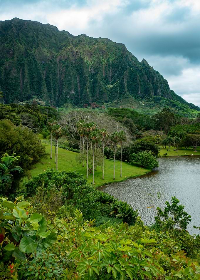 Botanical Garden Hawaii