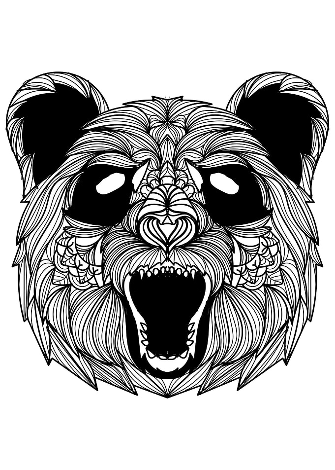 Panda Bear