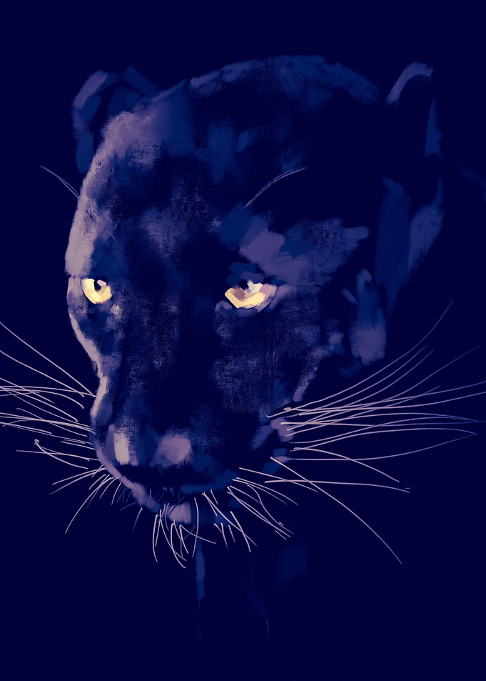 Panther