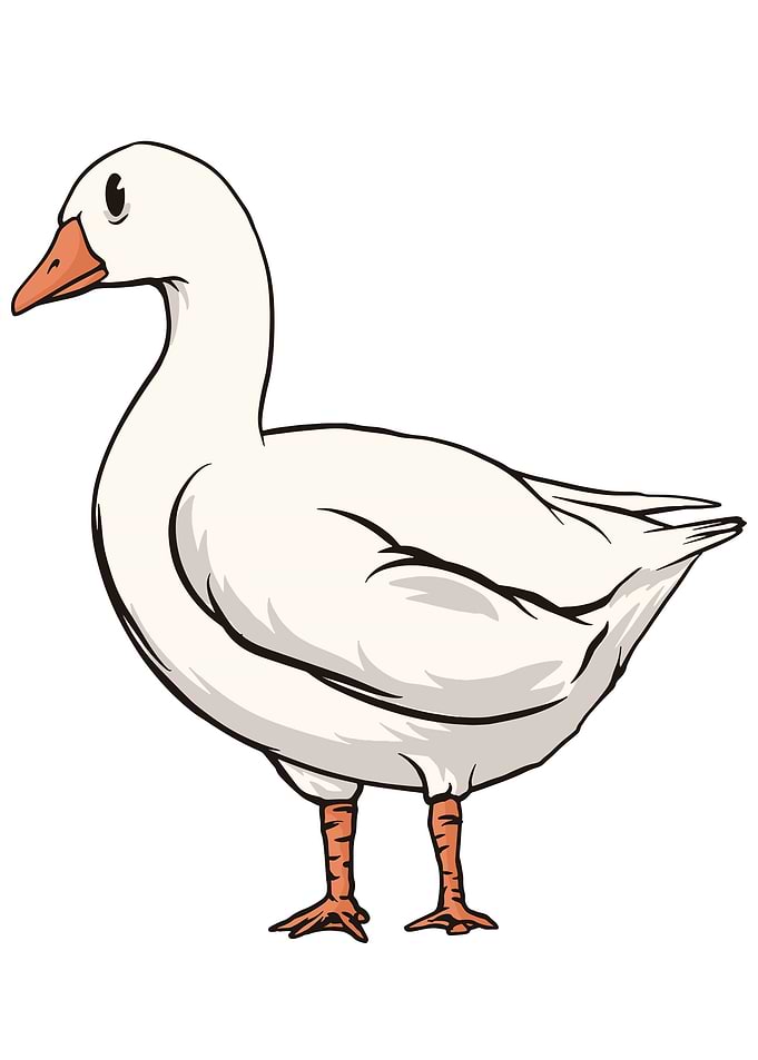 Goose Breeder
